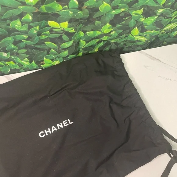 CHANEL PURSE 100% AUTHENTIC CHANEL BAG CHANEL 19 FLAP BAG - Picture 14 of 15